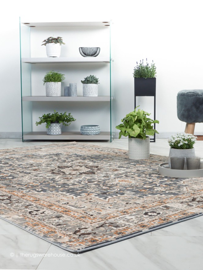 Satisar Silver Rug - 2