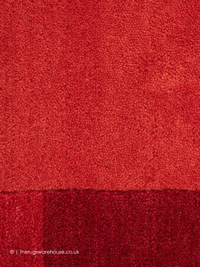 Royal Ganges Red Rug - 7