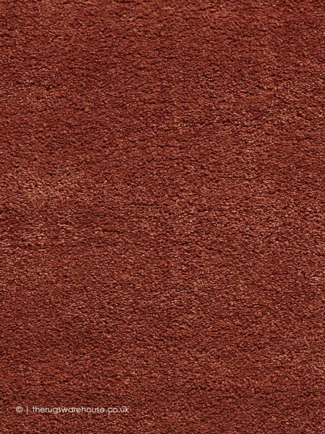 Sierra Terra Rug - 8